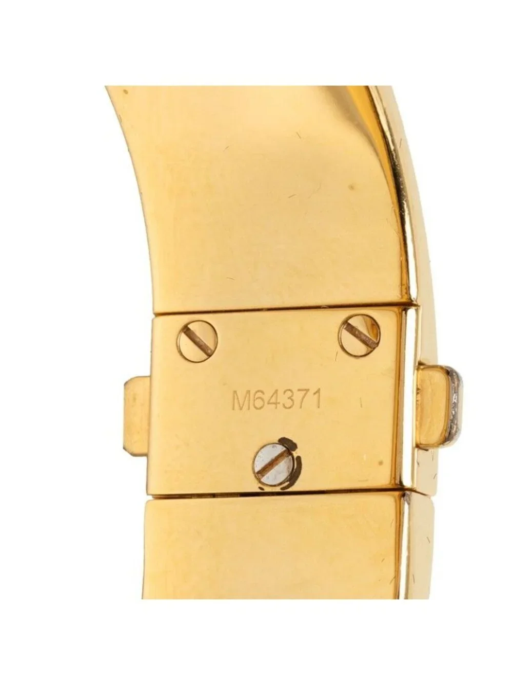 Louis Vuitton brand louis